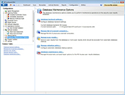 Database maintenance options