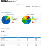 Detailed User Activity Report